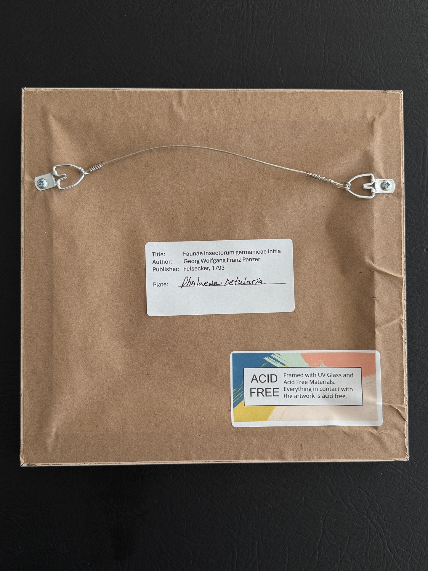 18th-Century Entomological Engraving – Phalaena betularia Germany, 1793