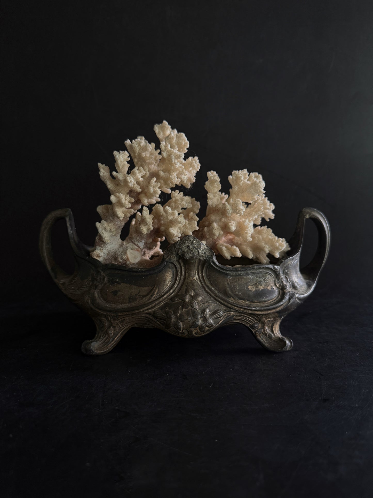 Natural Coral Cluster – Small