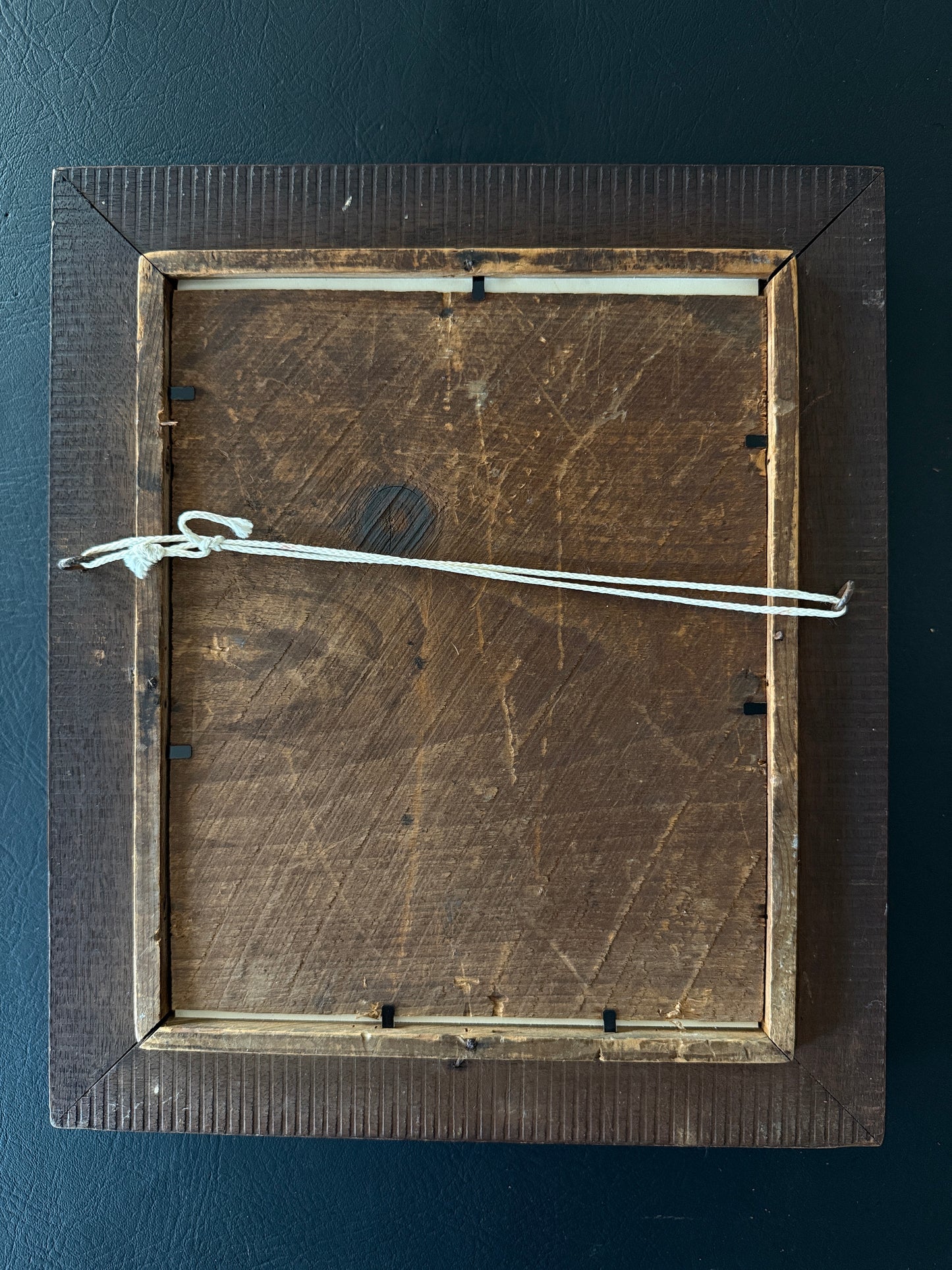 Swiss Pressed Botanicals in Walnut Frame with Gilt Liner