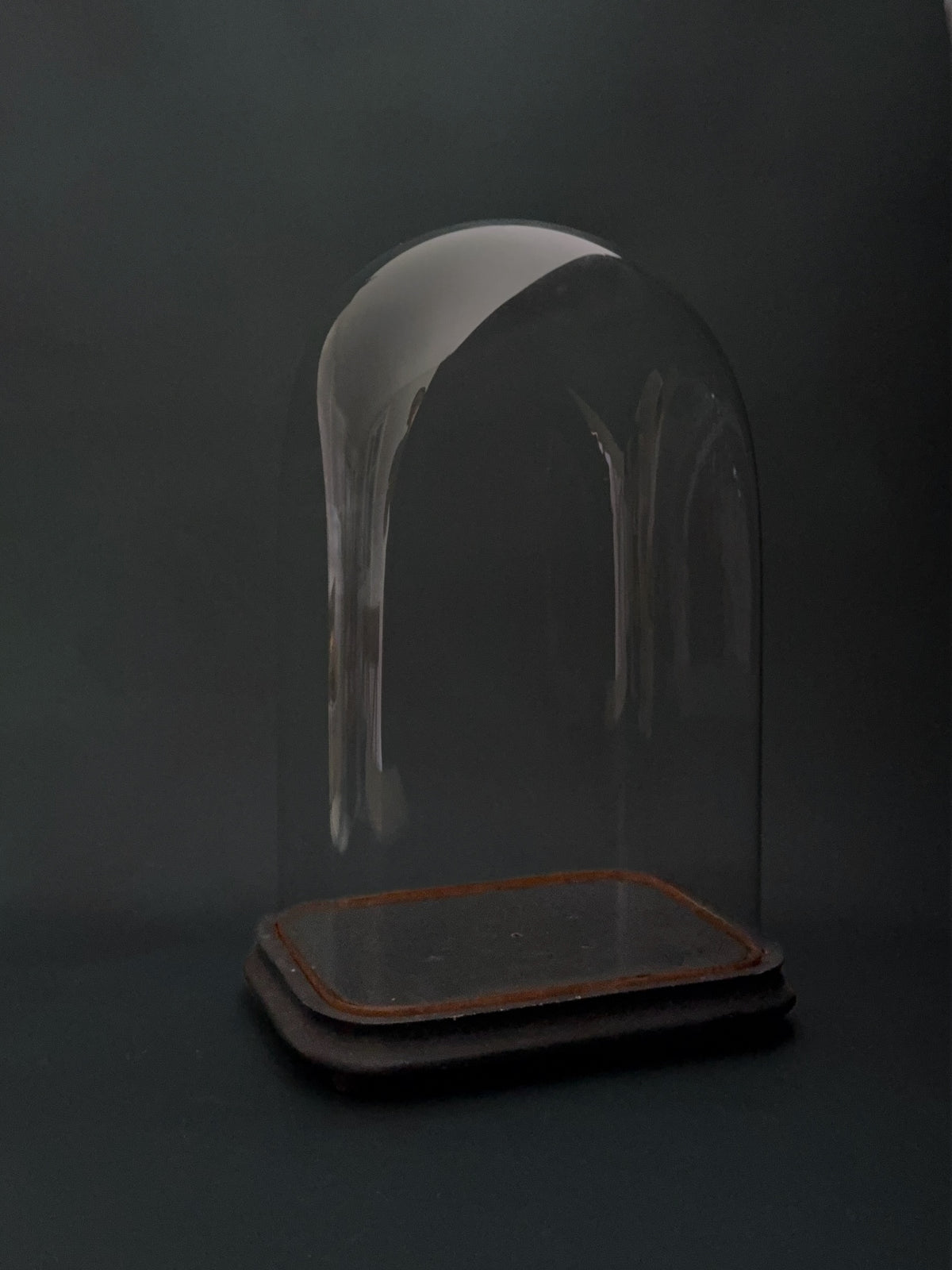Antique Ovoid Glass Display Cloche with Wooden Base