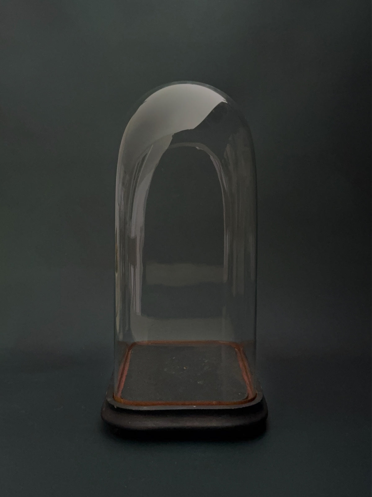 Antique Ovoid Glass Display Cloche with Wooden Base