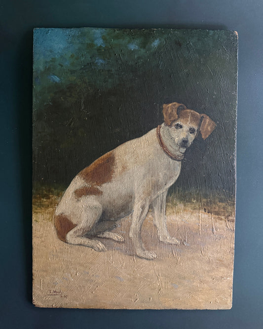 Signed Terrier-Type Dog Portrait, Oil on Board