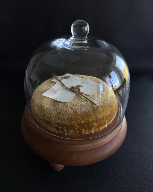 Glass Cloche with Velvet Display Base & 1864 Botanical Fragment