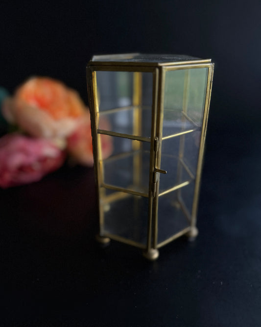 Petite Brass & Glass Curio Cabinet
