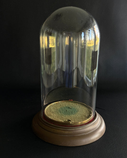 Vintage Glass Dome Cloche with Tiered Base