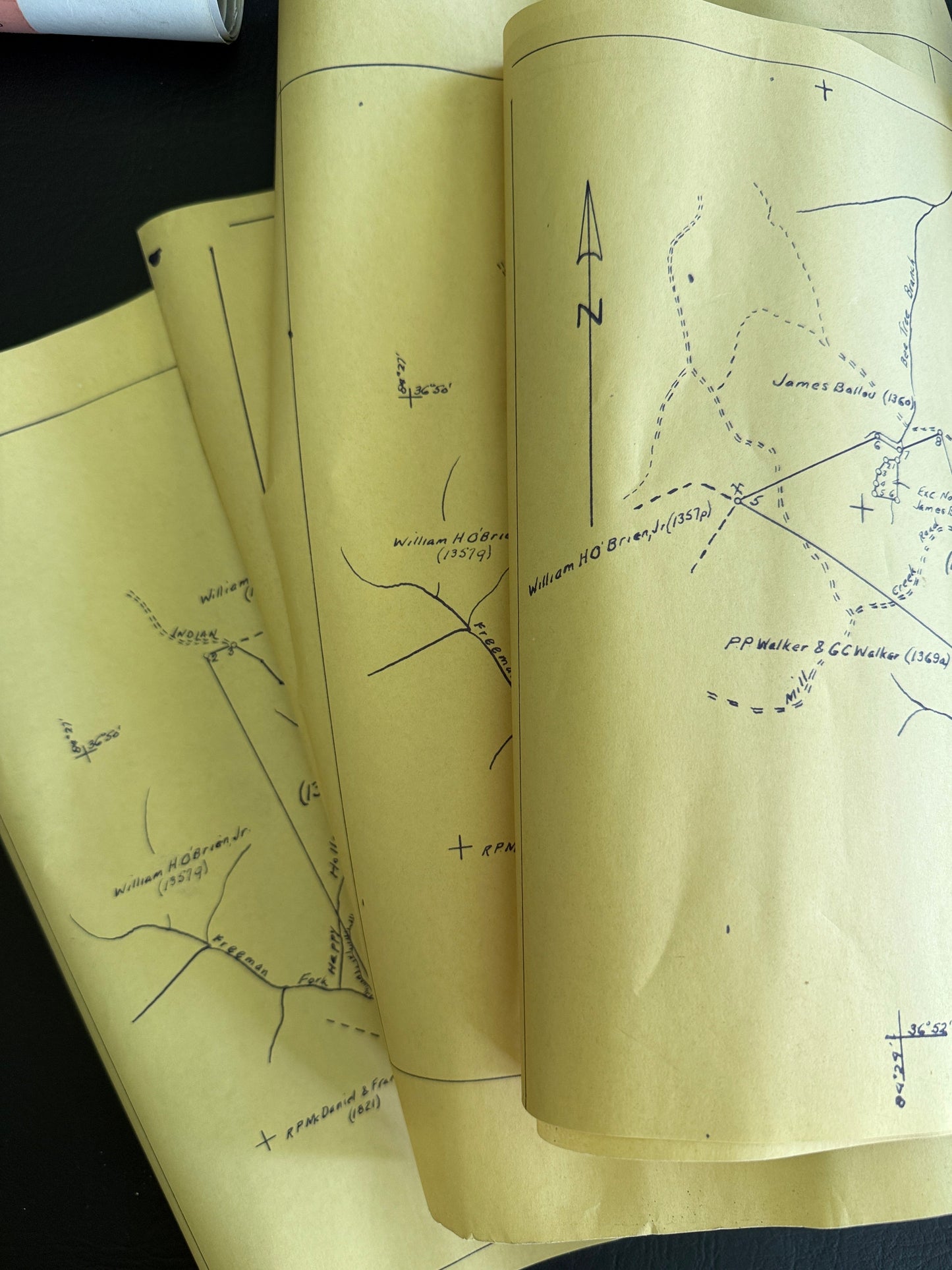 Vintage Blueprint-Style Survey Maps & Land Plats