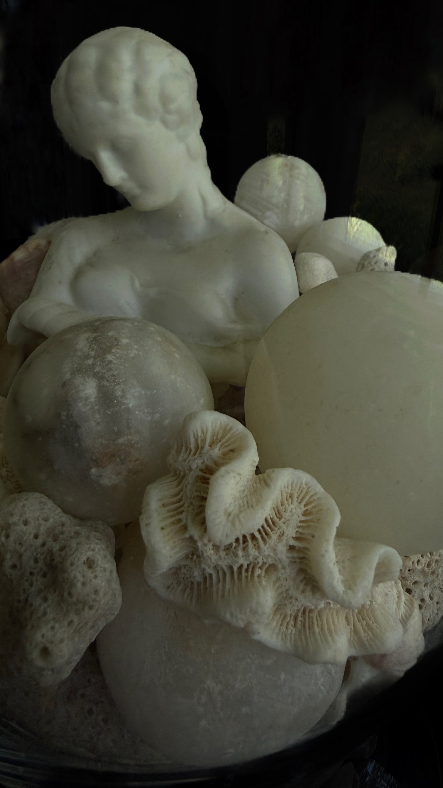 Restoration Hardware Apothecary Jar Assemblage