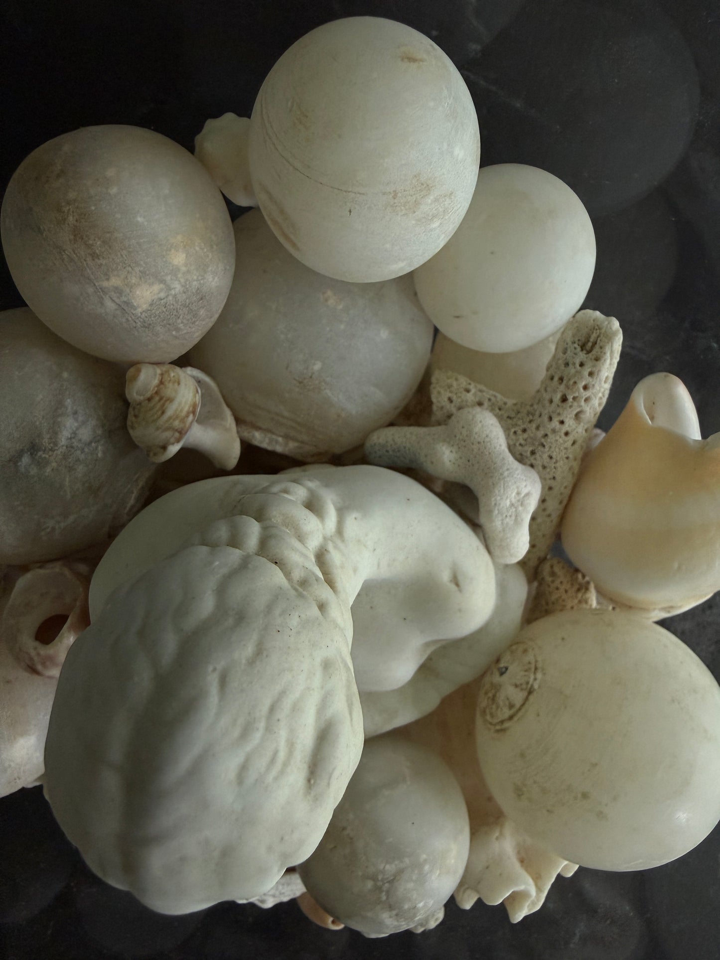 Restoration Hardware Apothecary Jar Assemblage