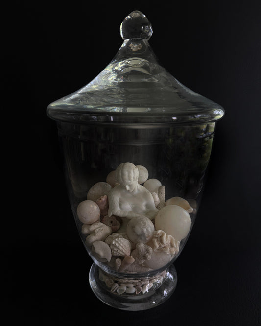 Restoration Hardware Apothecary Jar Assemblage
