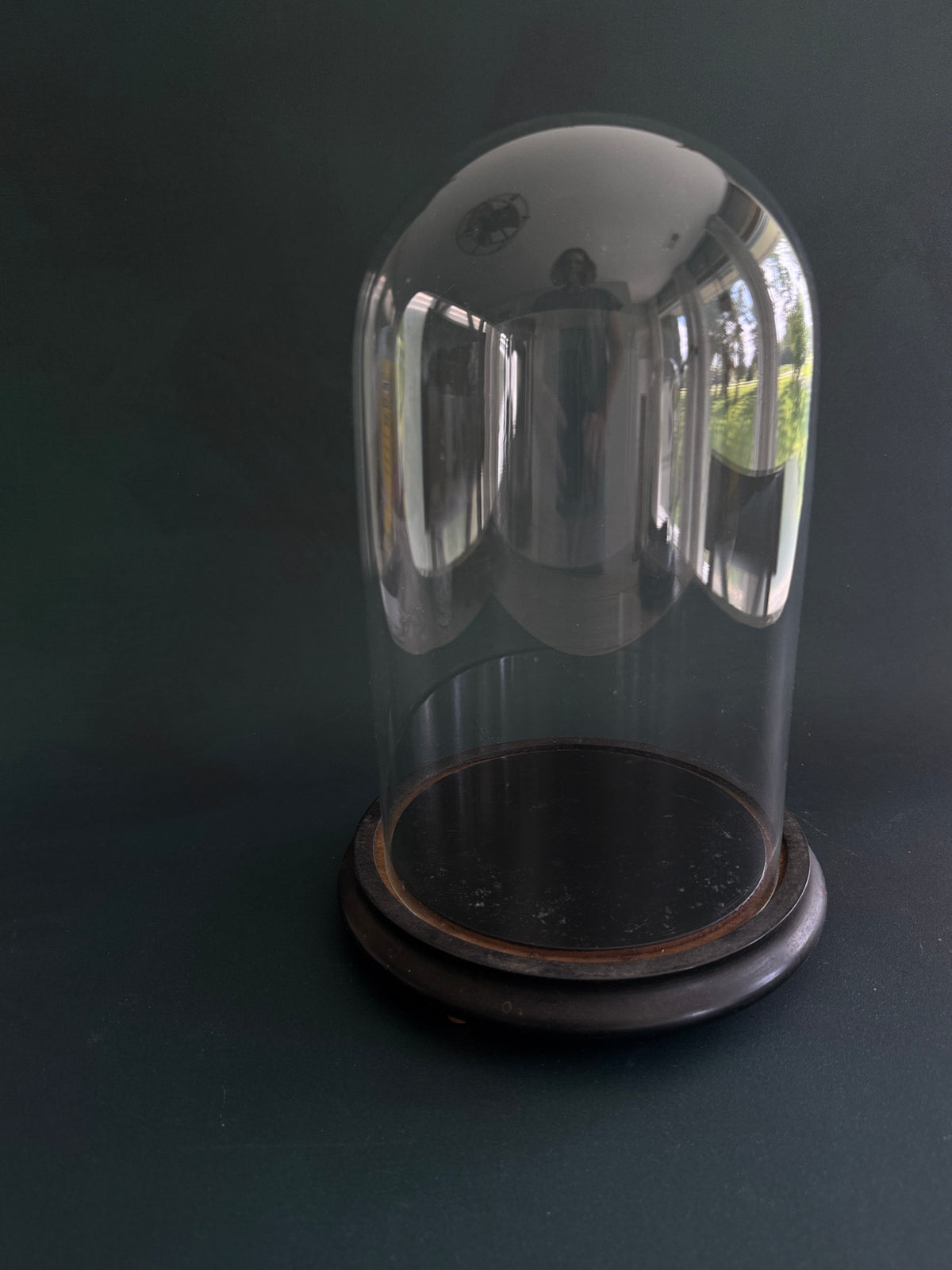 Antique Glass Cloche with Black Wood Display Base